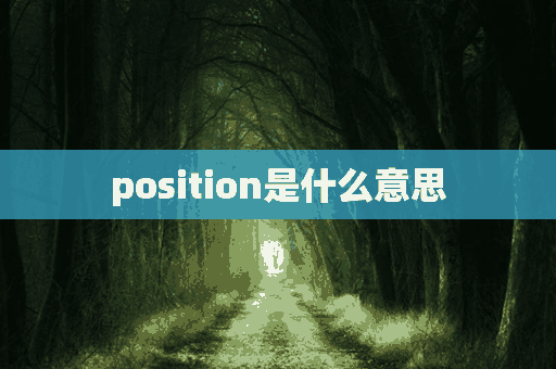 position是什么意思